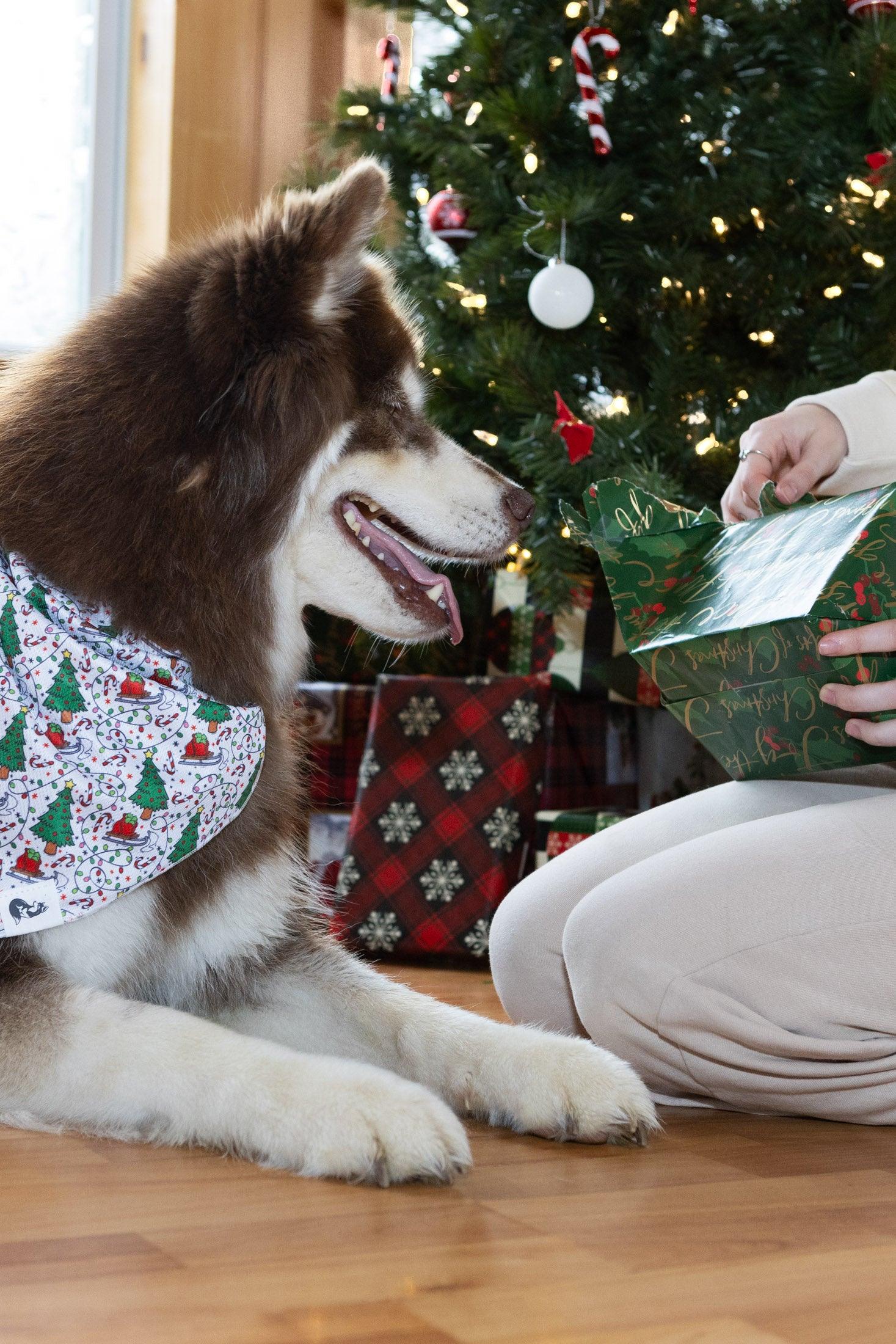Howliday Cheer Dog Bandana