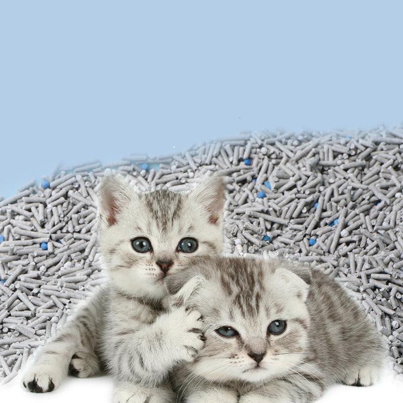 6L Activated Charcoal Tofu Litter With Natural Deodorizing Power